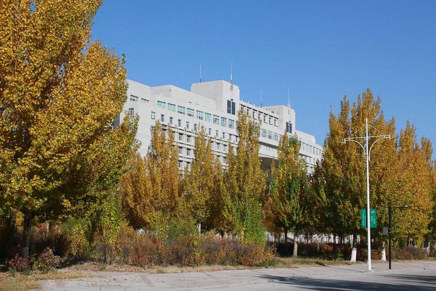 1640828067234641.jpg pbu899398_03.jpg